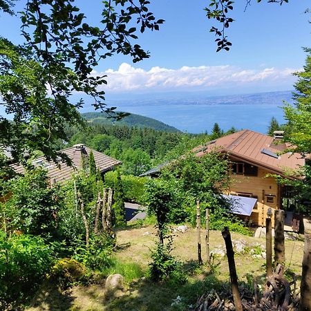 Chalet La Trouvaille Thollon-les-Memises Eksteriør billede